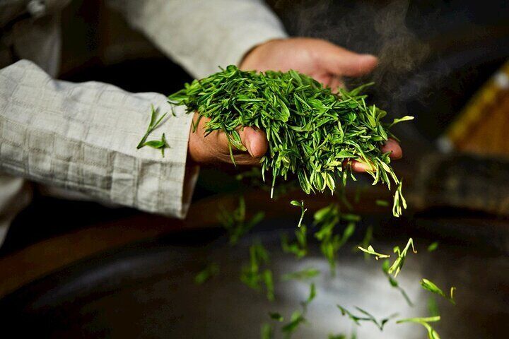 West Lake Longjing Tea Culture One Day Experience Tour